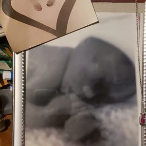 Meet your Posher, Raeshell